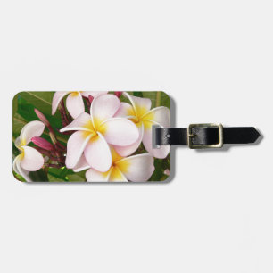 Etiqueta De Bagagem Aloha Hawaiian Frangipani Blossoms Plumerias