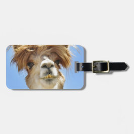 Etiqueta De Bagagem Alpaca louca do cabelo