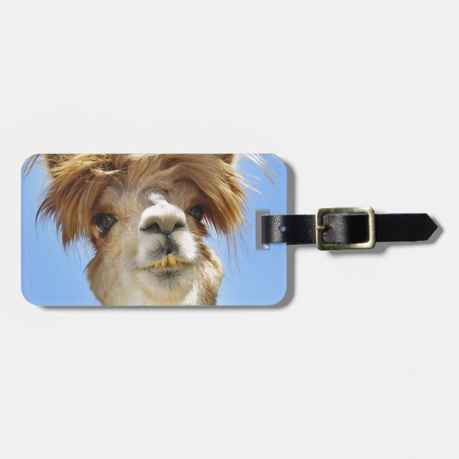 Etiqueta De Bagagem Alpaca louca do cabelo (Frente Horizontal)