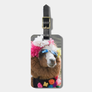 Etiqueta De Bagagem Alpaca, Pachacoto, Cordilheira Branca, Ancash