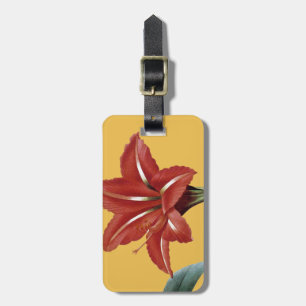 Etiqueta De Bagagem Amaryllis listrado