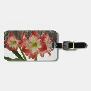 Etiqueta De Bagagem Amaryllis no Feriado Vermelho de Neve Floral de in