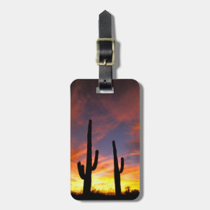 Etiqueta De Bagagem América do Norte, EUA, Arizona, Deserto de Sonora.