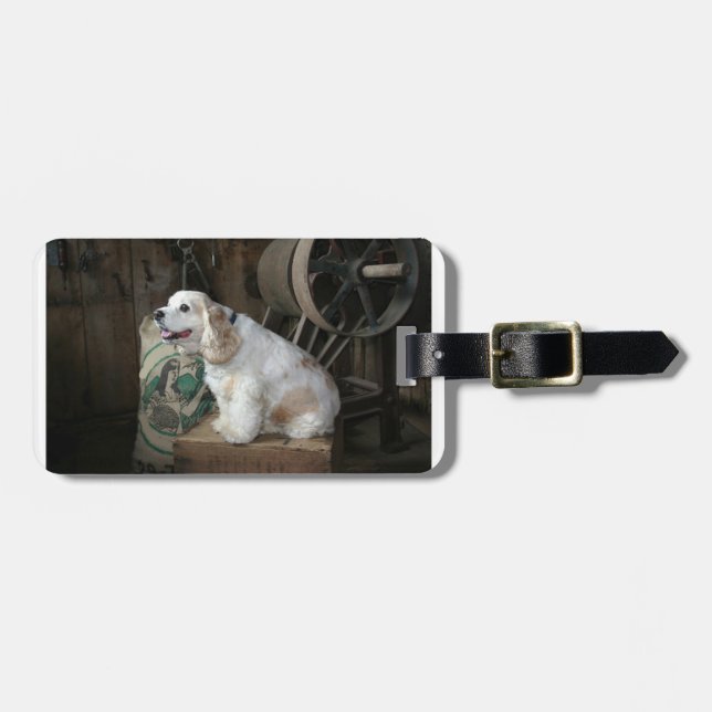 Etiqueta De Bagagem american cocker spaniel sentado (Frente Horizontal)