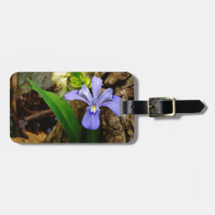 Etiqueta De Bagagem Anã-Caverna-Iris, flor branca púrpura azul-púrpura