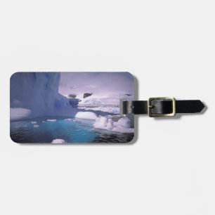 Etiqueta De Bagagem Antártica. Fugas antárticas 2