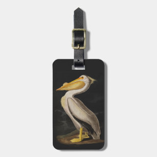 Etiqueta De Bagagem Antigo Pelicano Branco de John James Audubon Coste