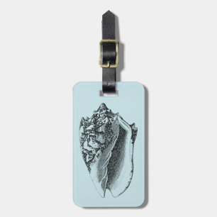 Etiqueta De Bagagem Aqua Conch Shell