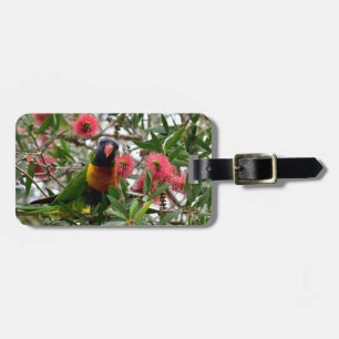 ETIQUETA DE BAGAGEM ARCO-ÍRIS LORIKETT NA ÁRVORE QUEENSLAND AUSTRÁLIA
