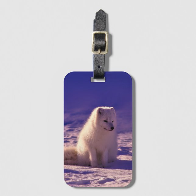 Etiqueta De Bagagem Arctic Fox Winter Snow Landscape (Frente Vertical)