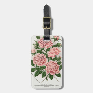 Etiqueta De Bagagem Arte Botânica Vintage Rosa Rosa Cottagecore