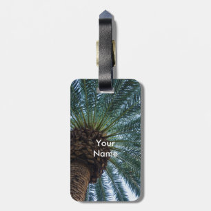 Etiqueta De Bagagem Arte Da Árvore Palm