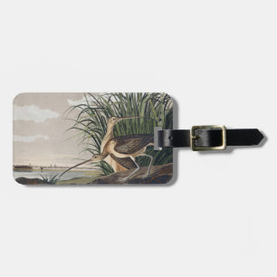 Etiqueta De Bagagem Arte de Ave Vintage Audubon Maçarico-de-bico-curvo