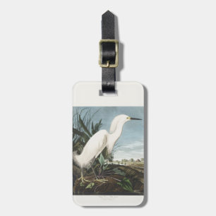 Etiqueta De Bagagem Arte de Pássaro da Garça Branca de Audubon Vintage
