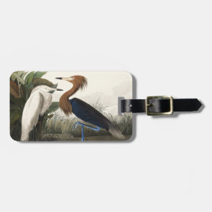 Etiqueta De Bagagem Arte de Pássaro Egreta-Cinza de Audubon Vintage