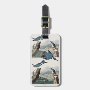 Etiqueta De Bagagem Arte de Pássaro Vintage Audubon Belted Kingfisher
