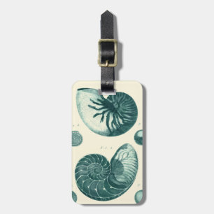 Etiqueta De Bagagem Arte de Seashell Vermelha e Verde