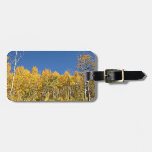 Etiqueta De Bagagem Árvores de Aspen, Colorado