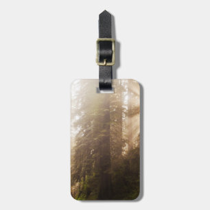 Etiqueta De Bagagem Árvores de Sequoia em Nevoeiro da Manhã com Raio