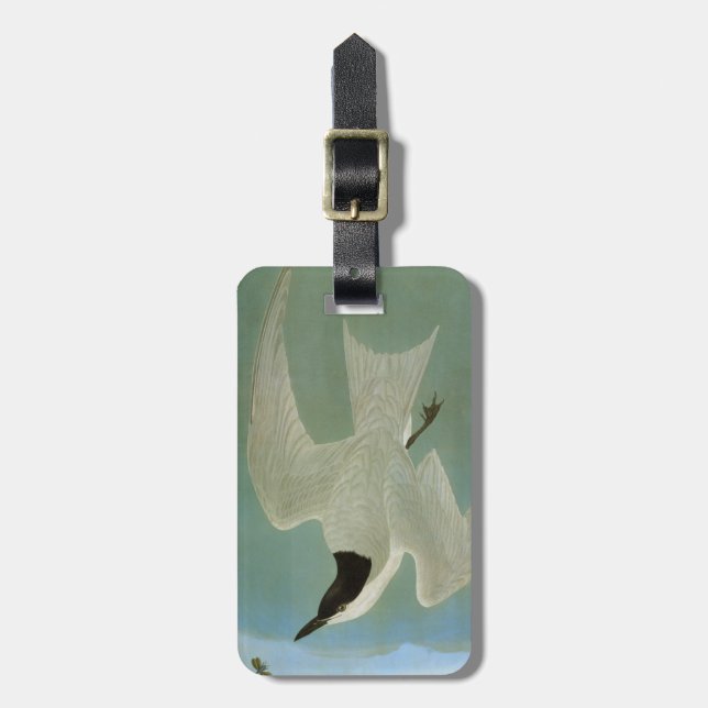 Etiqueta De Bagagem Audubon: Andorinha-do-mar Gaivota-Faturada (Frente Vertical)