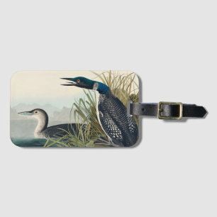 Etiqueta De Bagagem Audubon Bird Loon Diver Classic