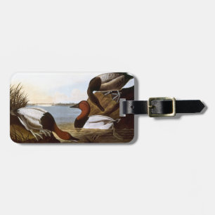 Etiqueta De Bagagem Audubon: Canvasback