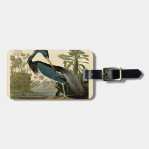 Etiqueta De Bagagem Audubon Louisiana Heron Birds América Art