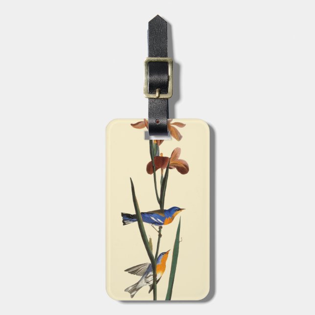 Etiqueta De Bagagem Audubon: Toutinegra (Frente Vertical)