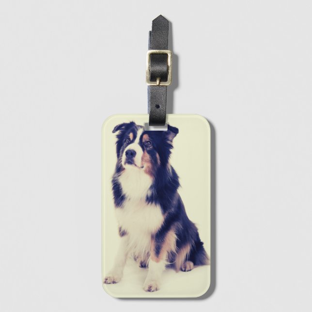 Etiqueta De Bagagem Australian Shepherd (Frente Vertical)