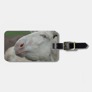 Etiqueta De Bagagem Áustria - Burro Branco Húngaro