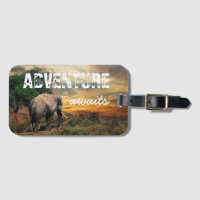 "Aventura Aguarda" Elefante Tailândia