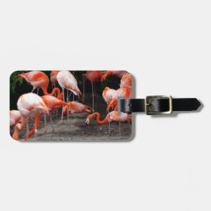 Etiqueta De Bagagem Aves de Praia Tropicais Destino Flamingos