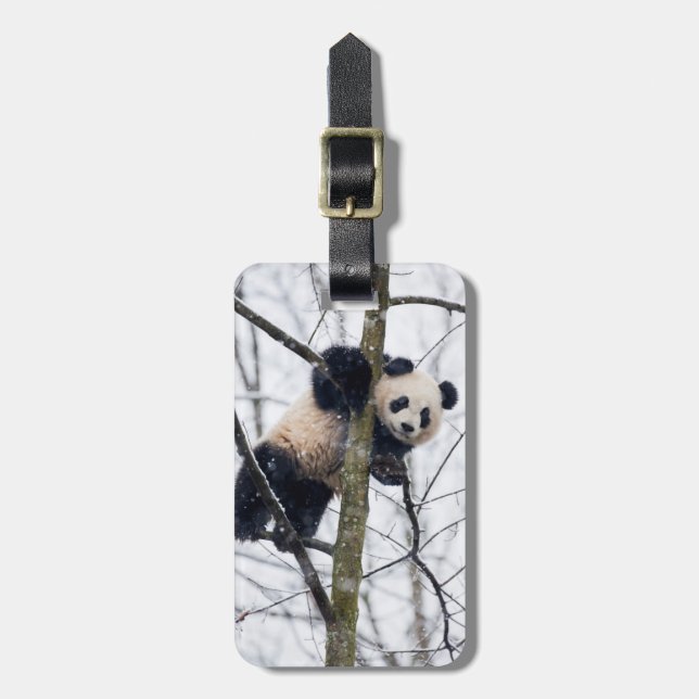 Etiqueta De Bagagem Baby Panda in Tree (Frente Vertical)