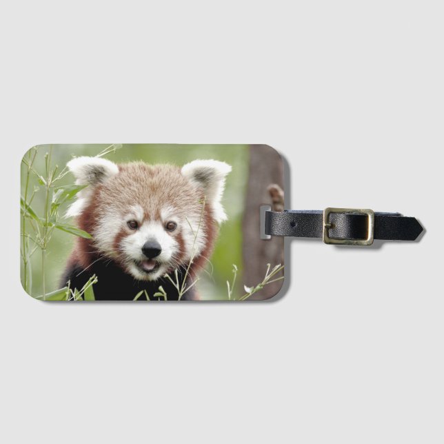 Etiqueta De Bagagem Bagagem panda 3 . (Frente Horizontal)