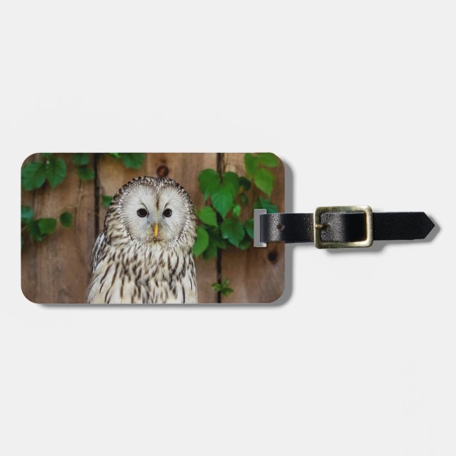 Etiqueta De Bagagem Barred Owl (Frente Horizontal)