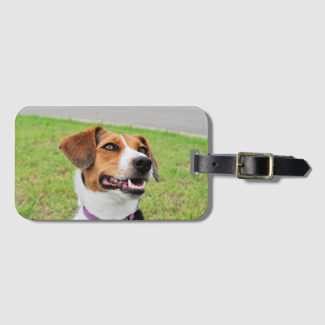 Etiqueta De Bagagem Beagle (Frente Horizontal)