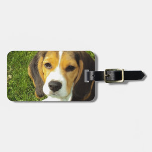 Etiqueta De Bagagem Beagle Dog Pet Animal Paz Amor
