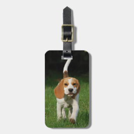 Etiqueta De Bagagem Beagle Insira sua própria foto