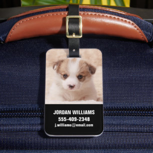 Etiqueta De Bagagem Bebês Mais Pobres Baby Corgi
