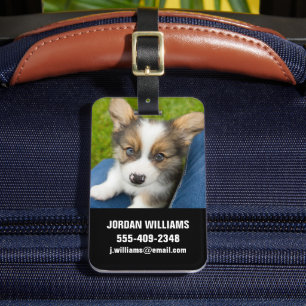 Etiqueta De Bagagem Bebês Mais Pobres Baby Corgi no meu colo