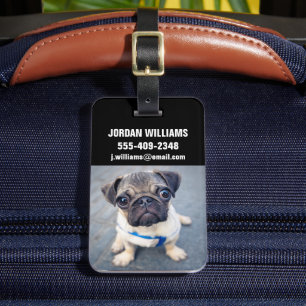 Etiqueta De Bagagem Bebês Mais Pobres   Baby Pug