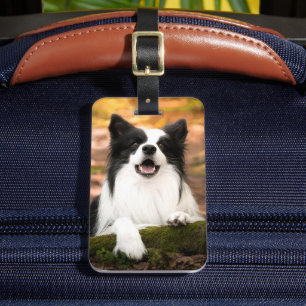 Etiqueta De Bagagem Bebês Mais Pobres Collie Preto e Branco