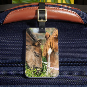 Etiqueta De Bagagem Bebês Mais Pobres   Coluna de cavalos