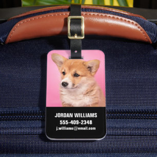Etiqueta De Bagagem Bebês Mais Pobres Corgi Puppy a rosa