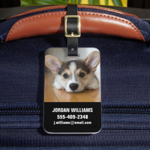 Etiqueta De Bagagem Bebês Mais Pobres Corgi Puppy Olhando