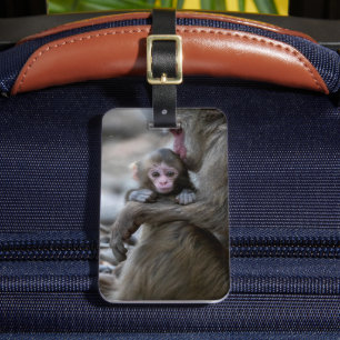 Etiqueta De Bagagem Bebês Mais Pobres Macaco japonês e bebê