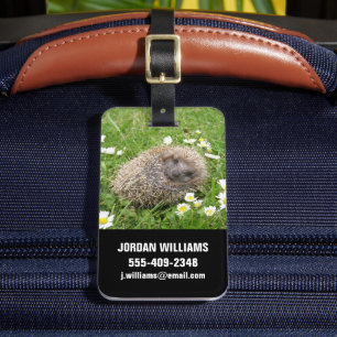 Etiqueta De Bagagem Bebês Mais Pobres Porco espanhol