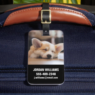 Etiqueta De Bagagem Bebês Mais Pobres Sleepy Corgi
