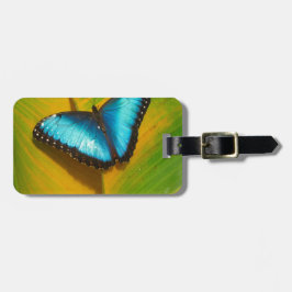 Etiqueta De Bagagem Bela Borboleta Iridescente