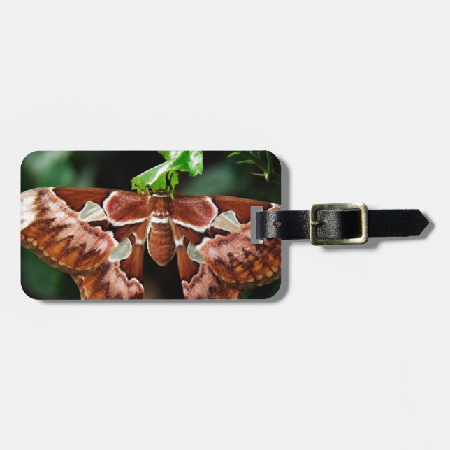 Etiqueta De Bagagem Belo Atlas Moth (Frente Horizontal)